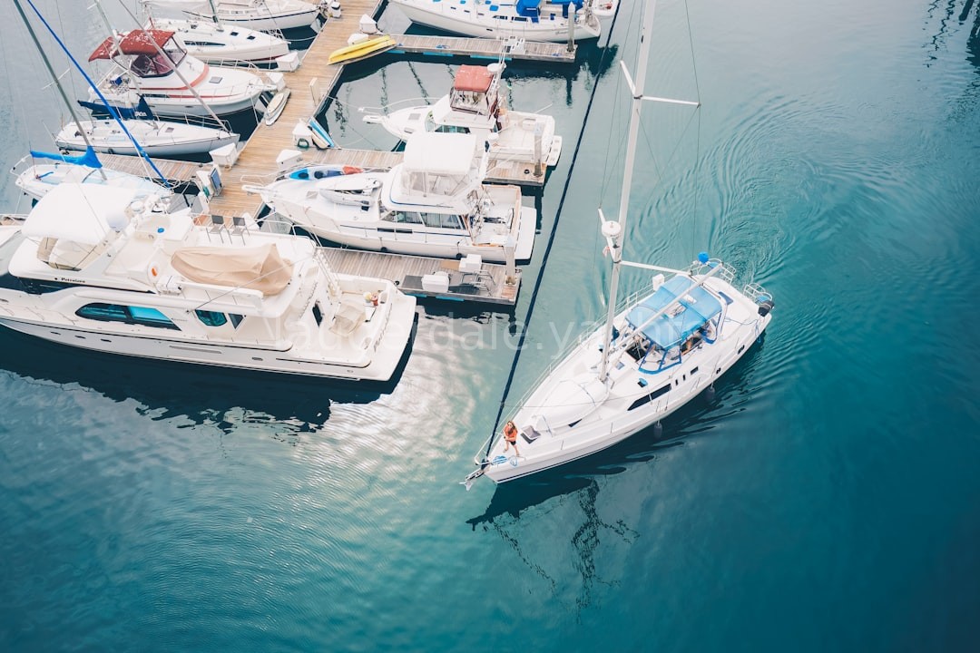 Marina Landscape